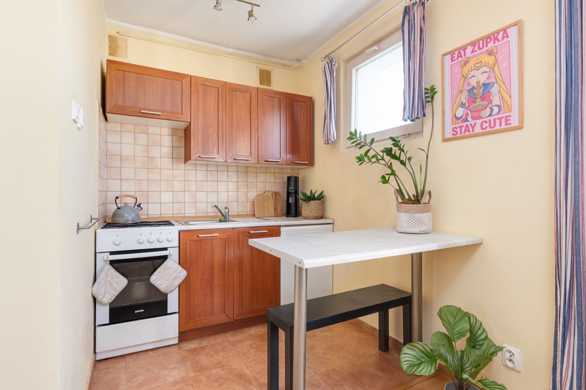 Mieszkanie 1 pokojowe na Wynajem