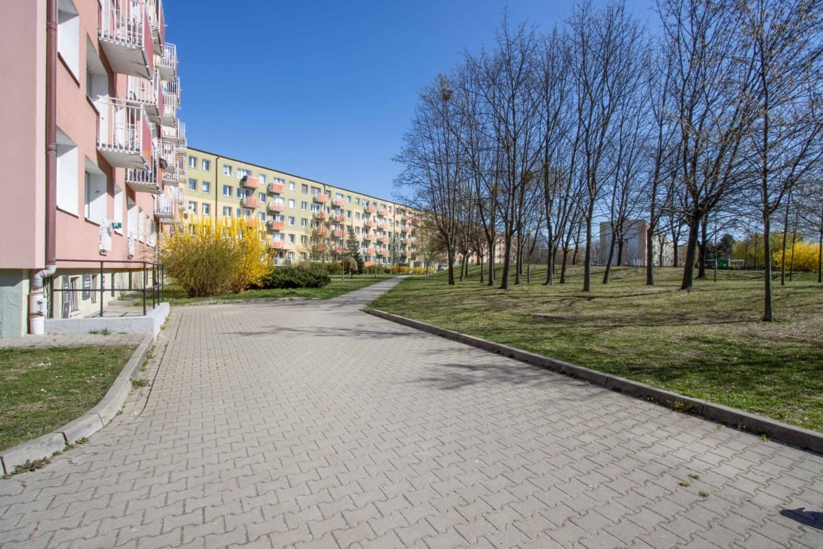 Mieszkanie 3 pokojowe na Wynajem