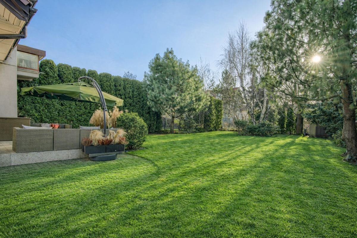 Dom 5 pokojowe na Sprzedaż