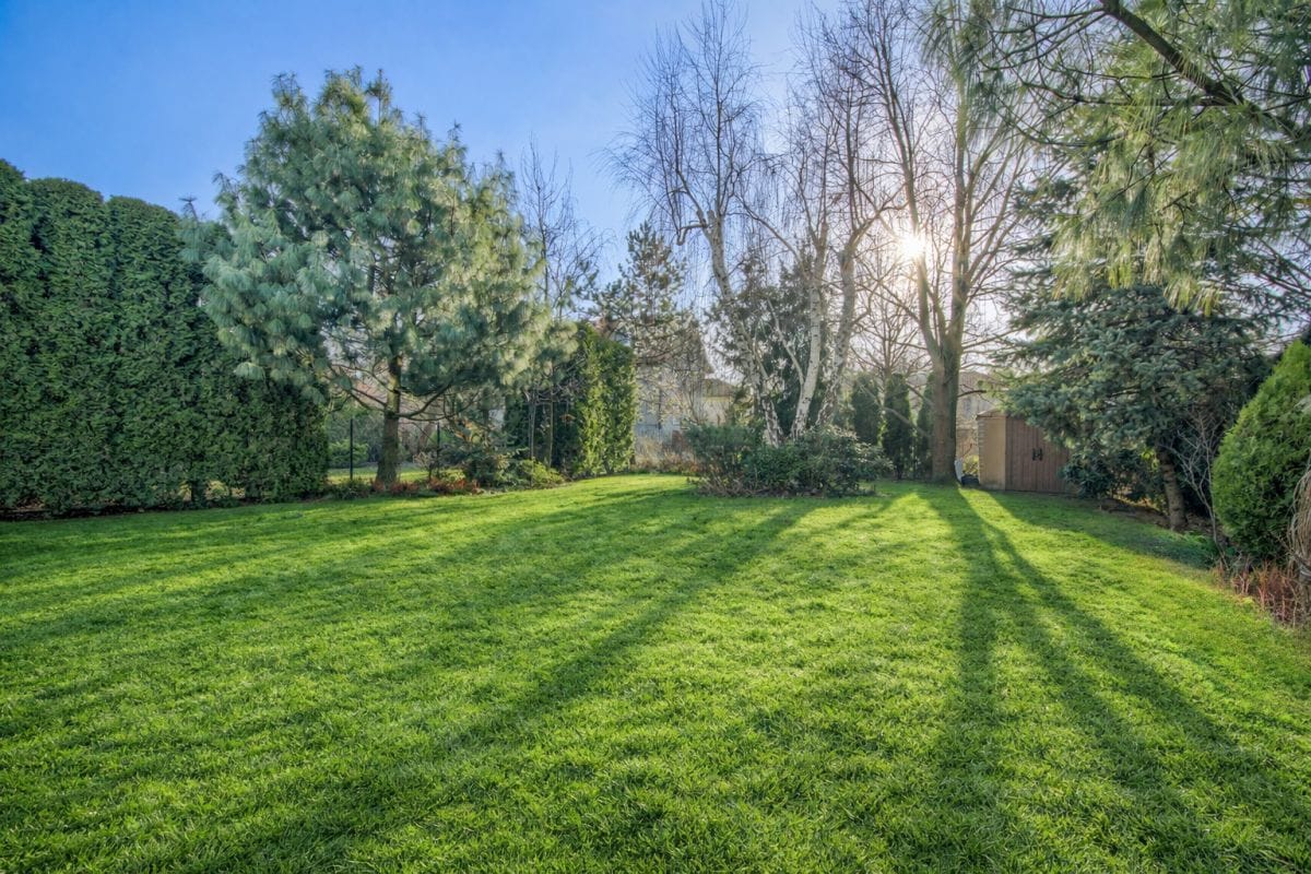 Dom 5 pokojowe na Sprzedaż