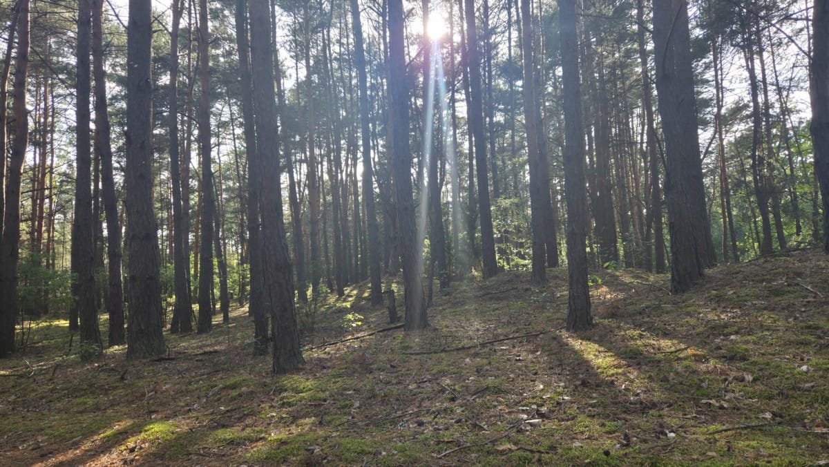 Działka  pokojowe na Sprzedaż