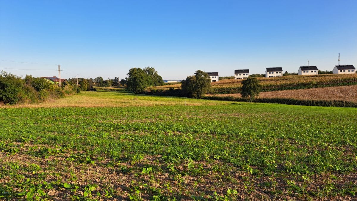 Działka  pokojowe na Sprzedaż