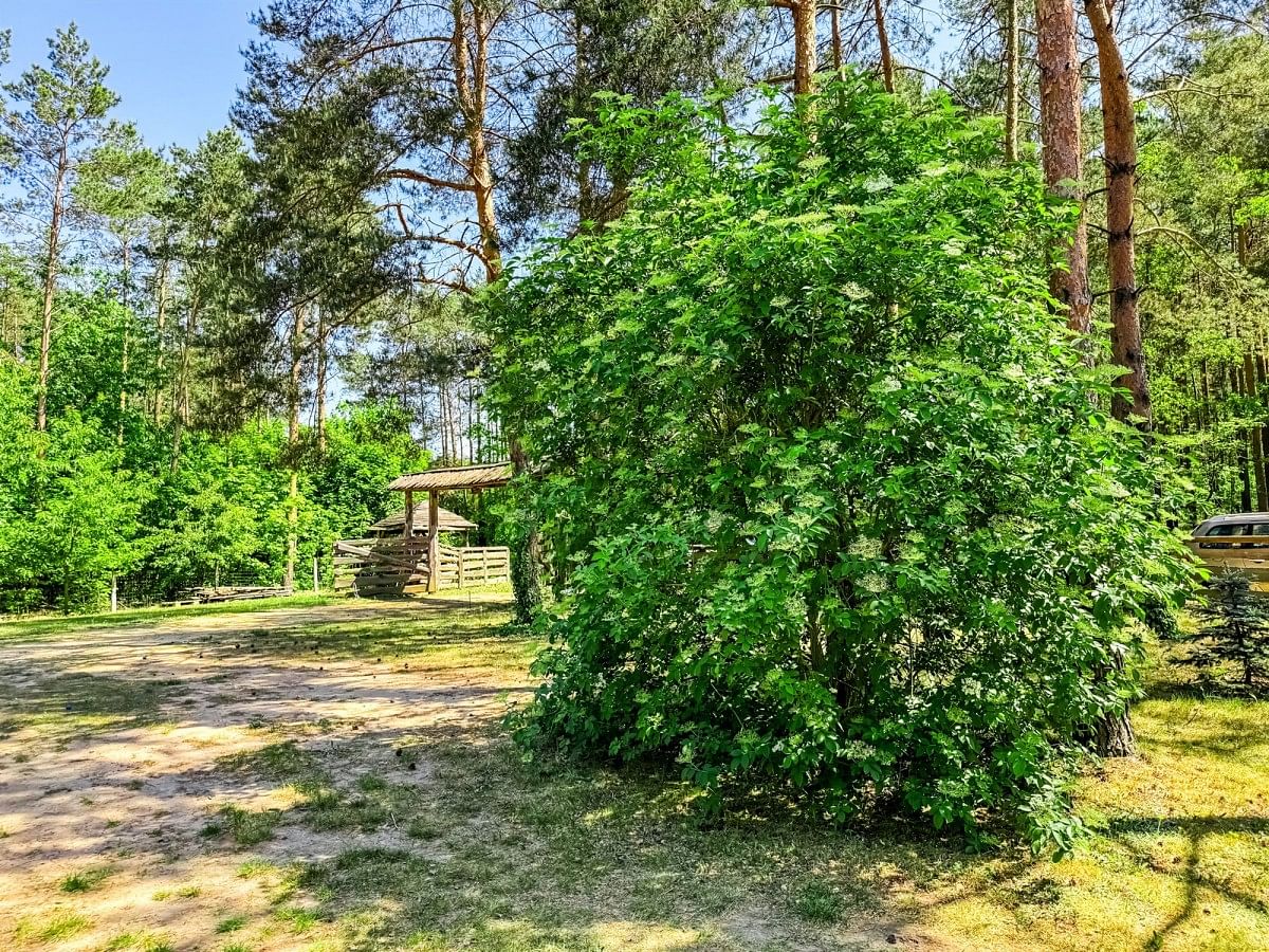 Lokal użytkowy  pokojowe na Sprzedaż