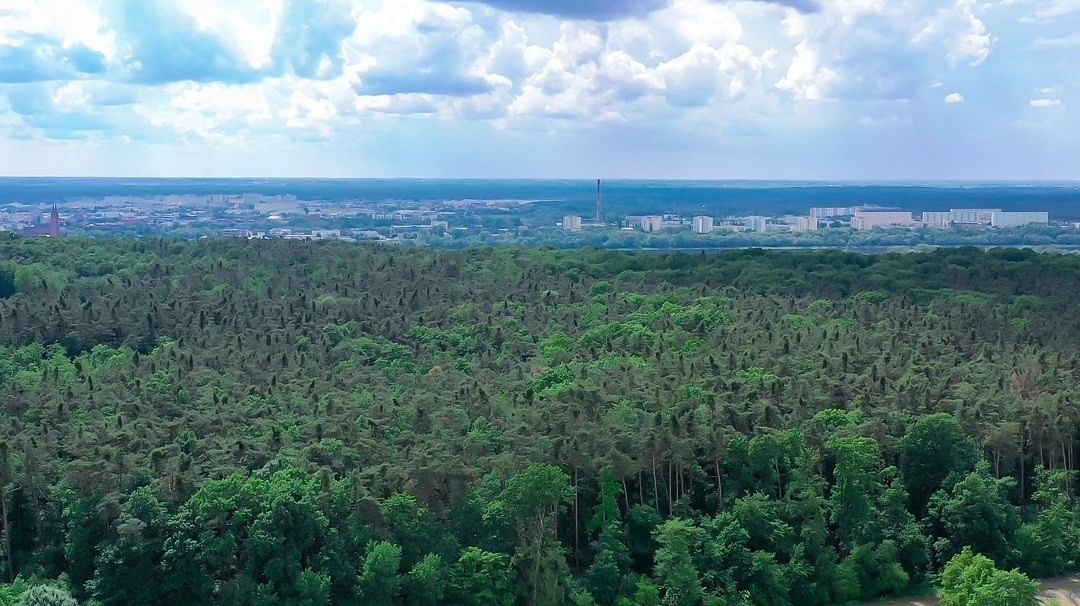 Działka  pokojowe na Sprzedaż