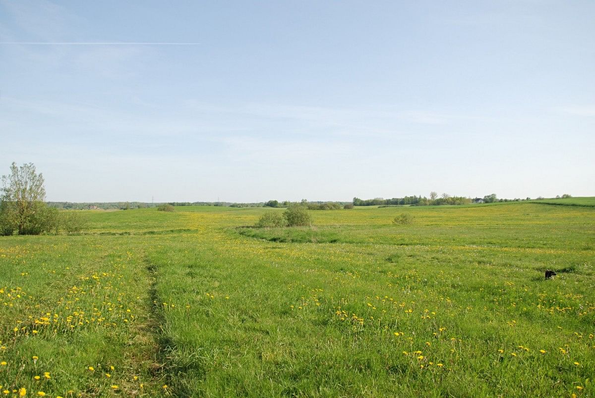 Działka  pokojowe na Sprzedaż