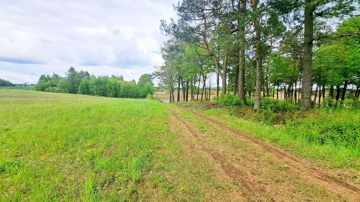 Działka  pokojowe na Sprzedaż
