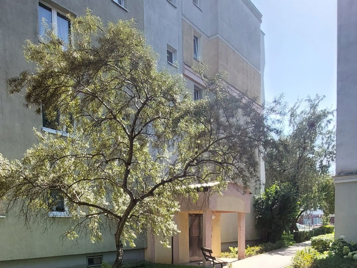 Mieszkanie 4 pokojowe na Sprzedaż