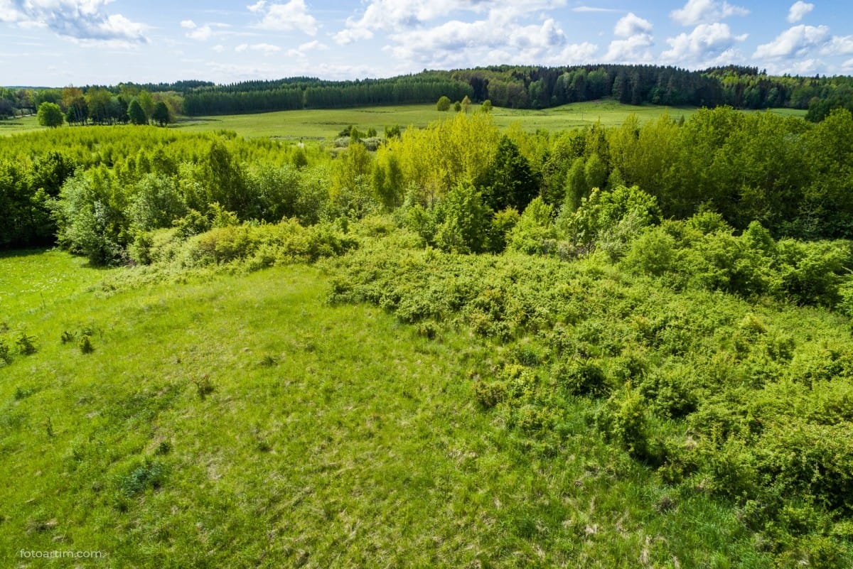 Działka  pokojowe na Sprzedaż