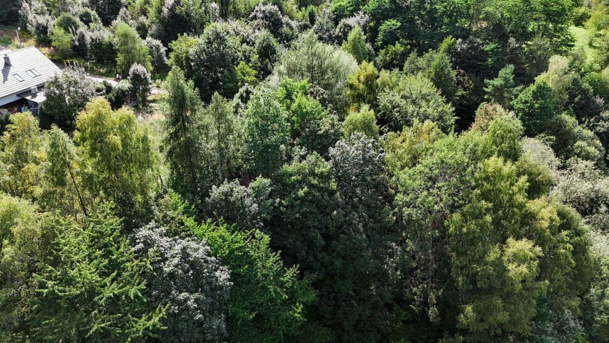 Działka  pokojowe na Sprzedaż