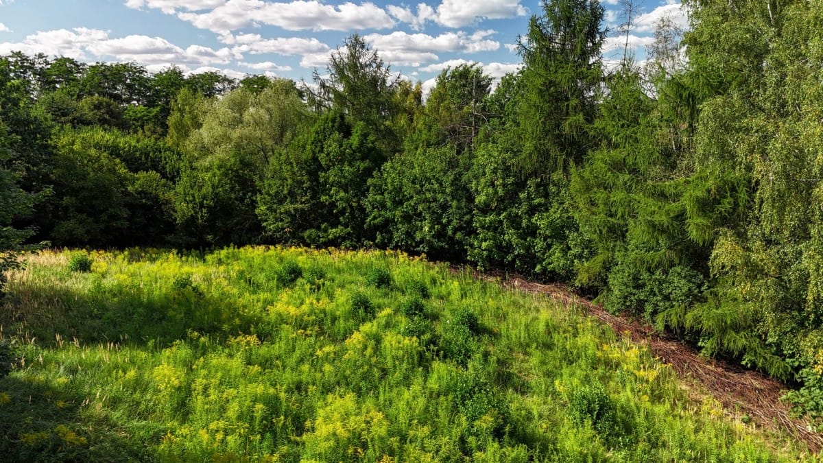 Działka  pokojowe na Sprzedaż