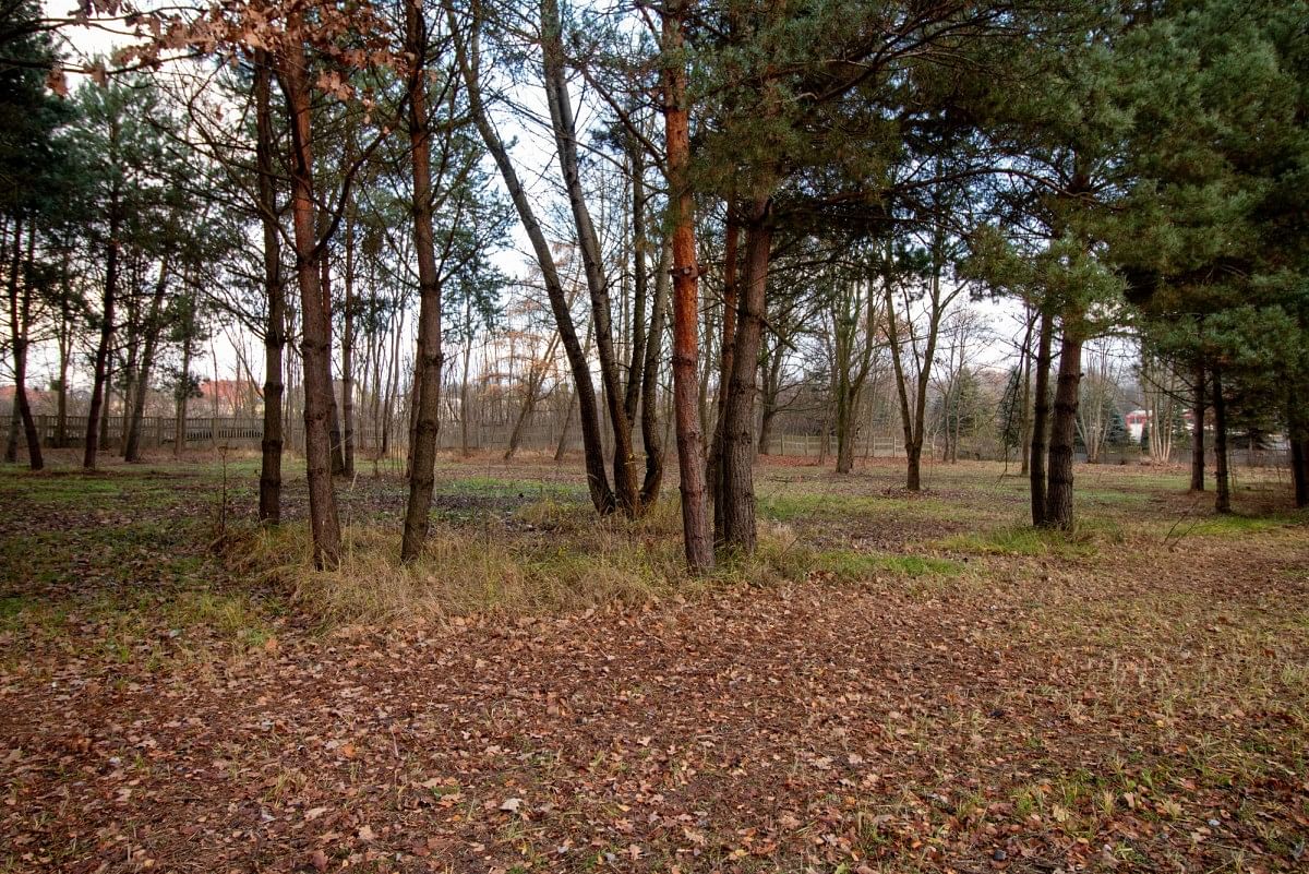 Działka  pokojowe na Sprzedaż