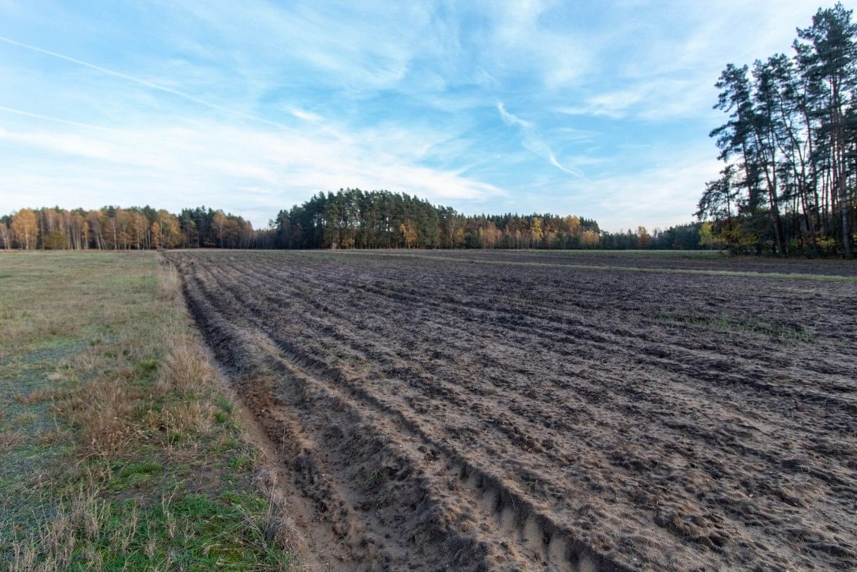 Działka  pokojowe na Sprzedaż