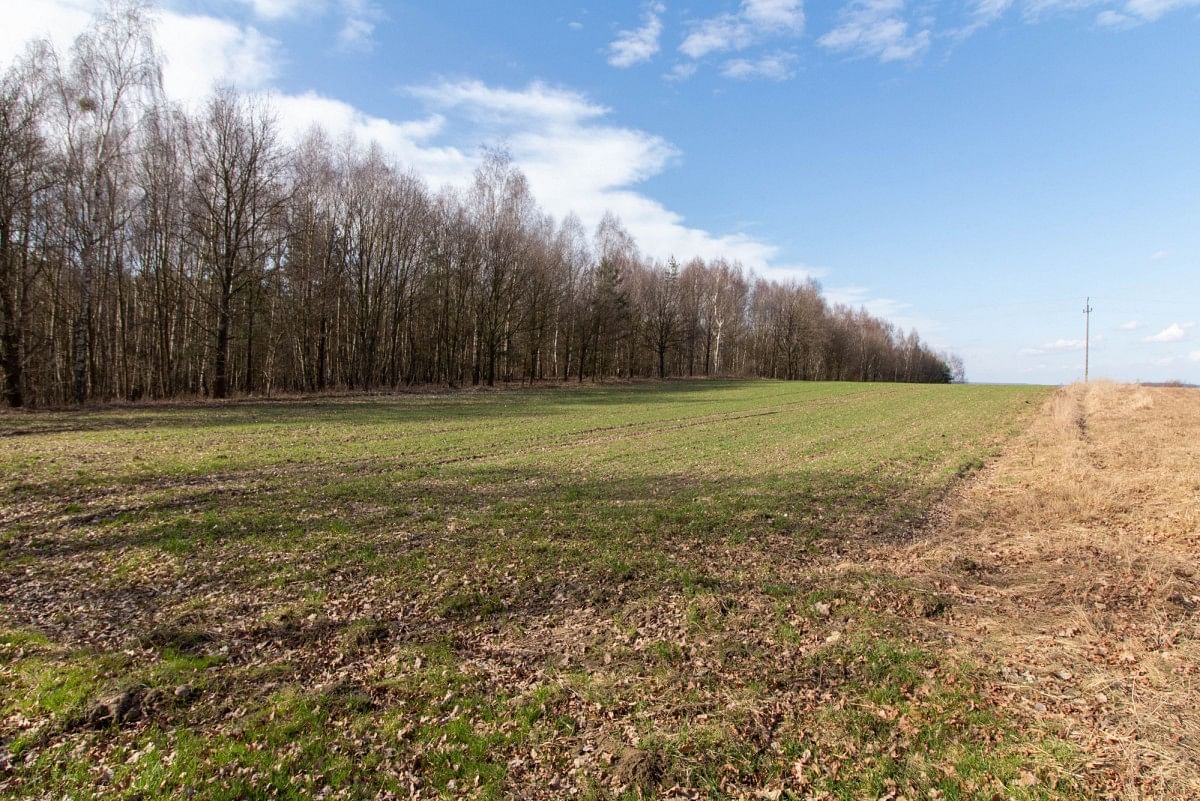 Działka  pokojowe na Sprzedaż