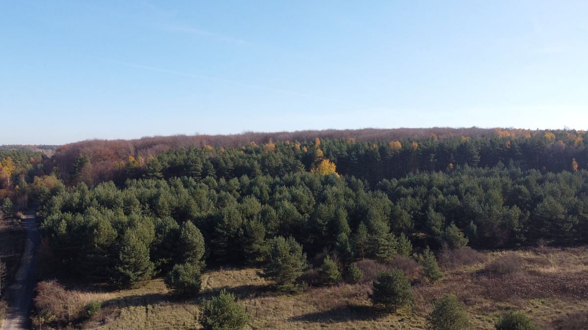 Działka  pokojowe na Sprzedaż