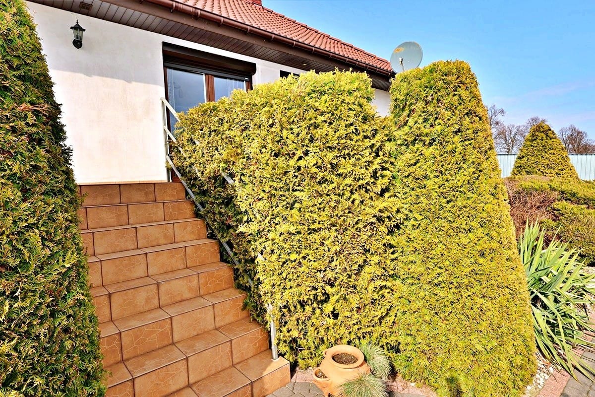 Dom  pokojowe na Sprzedaż