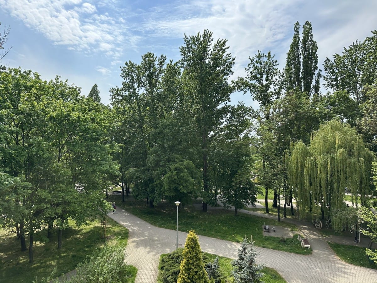 Mieszkanie 2 pokojowe na Wynajem