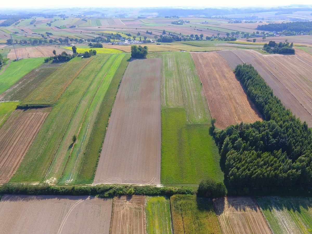 Działka  pokojowe na Sprzedaż