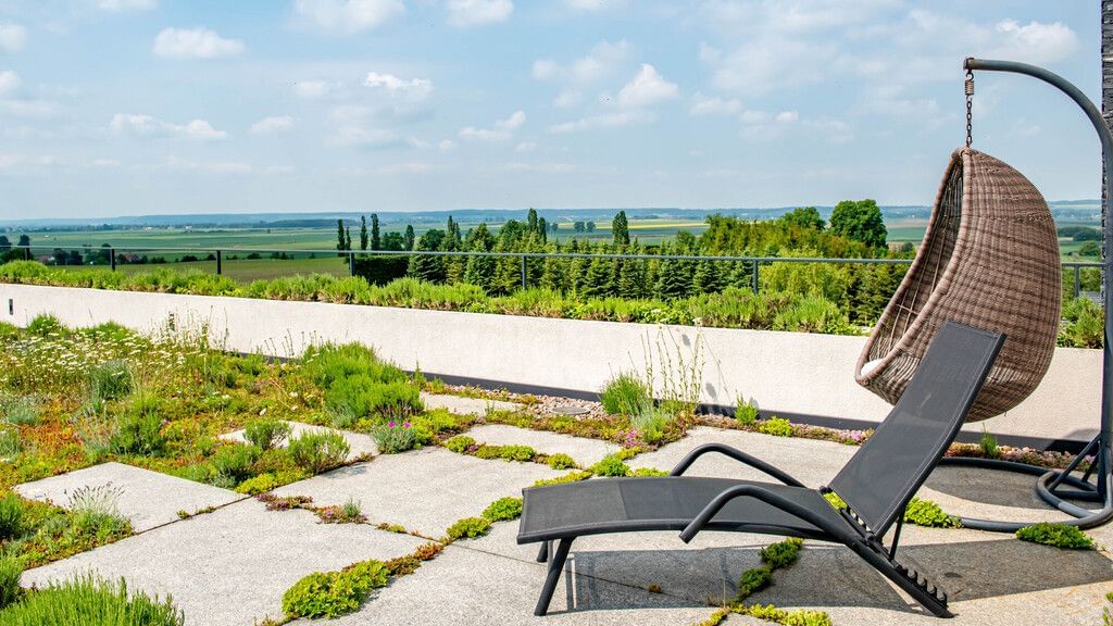 Dom 6 pokojowe na Sprzedaż