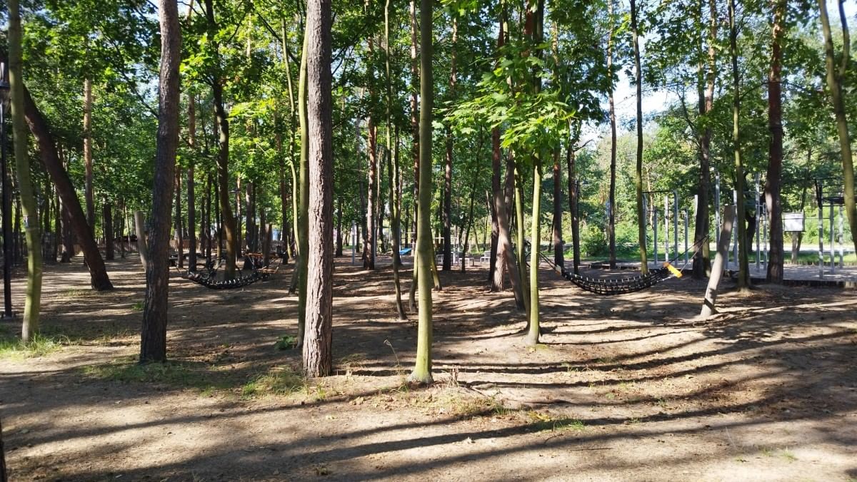 Dom 5 pokojowe na Wynajem