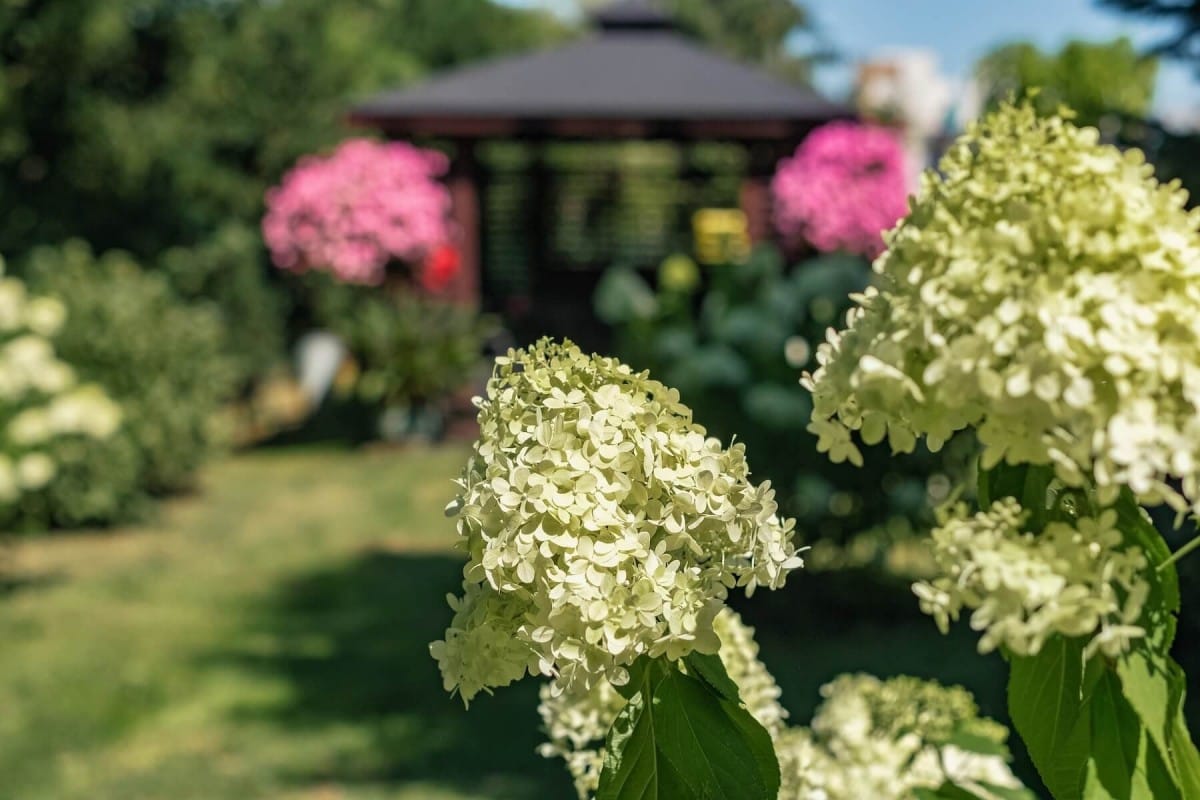 Dom 5 pokojowe na Sprzedaż