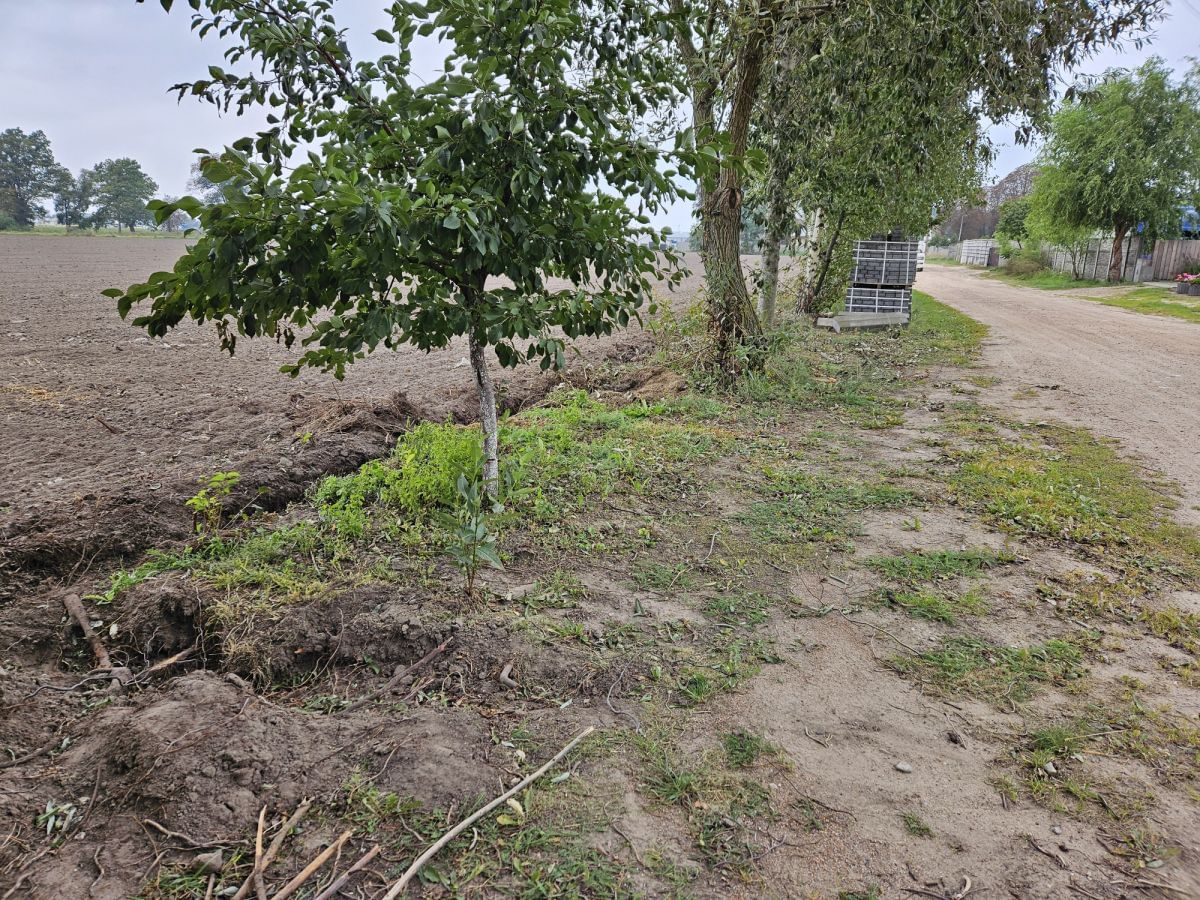 Działka  pokojowe na Sprzedaż