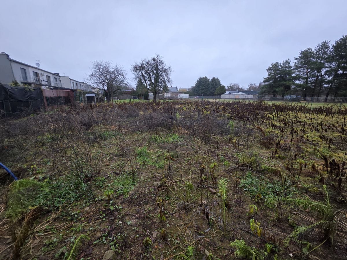 Działka  pokojowe na Sprzedaż