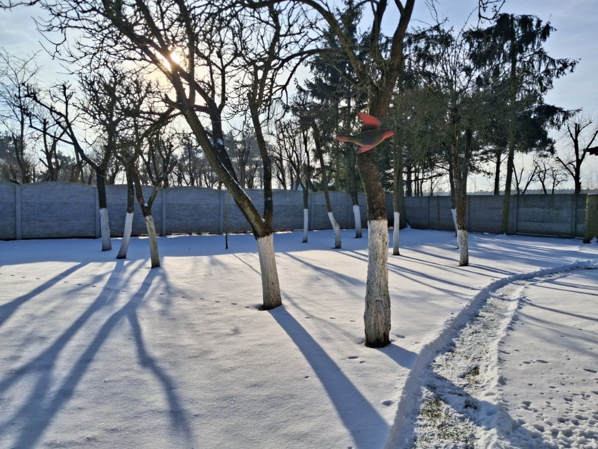 Dom 5 pokojowe na Sprzedaż