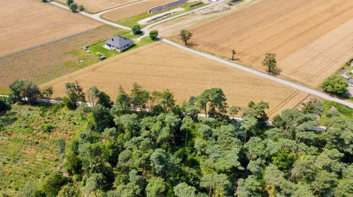 Działka  pokojowe na Sprzedaż