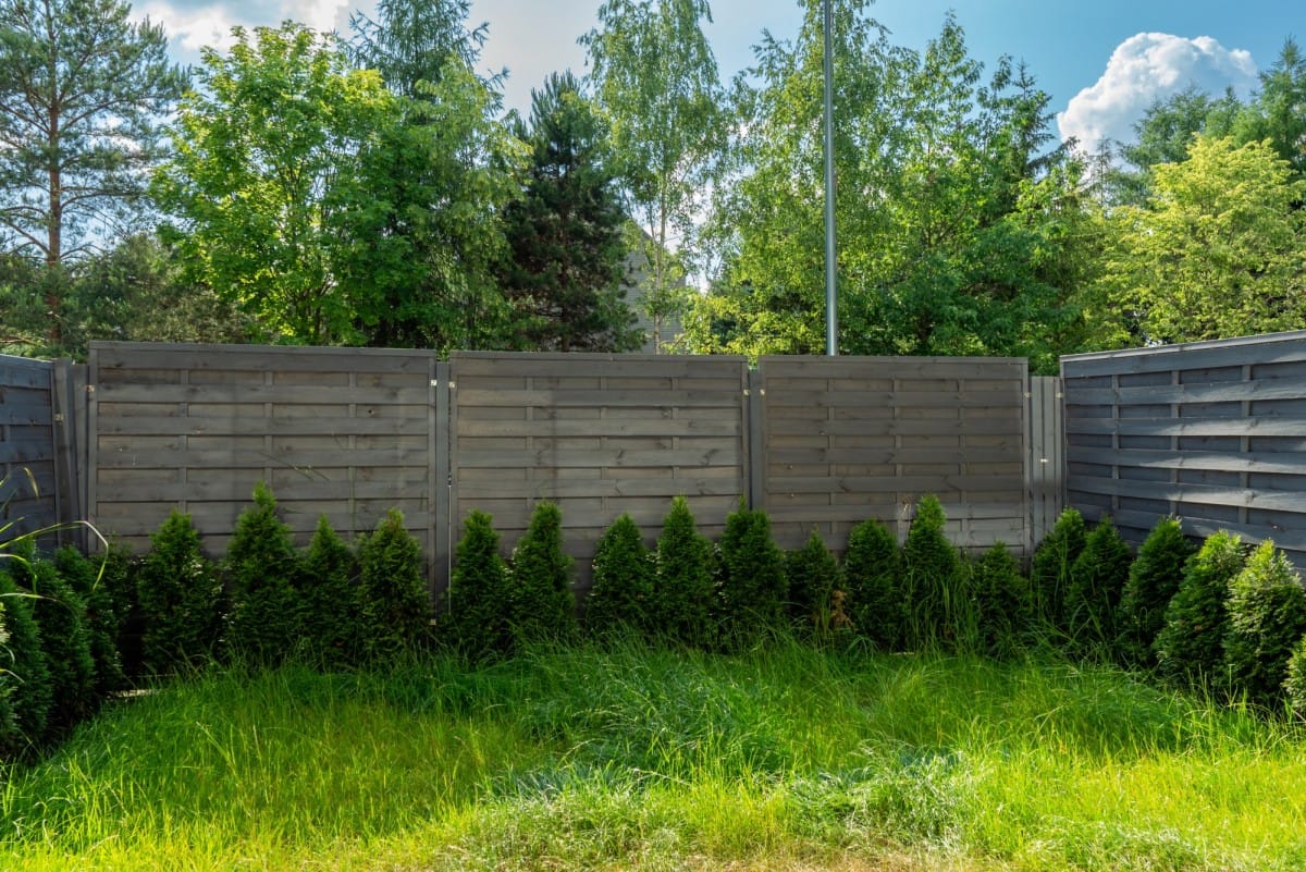 Mieszkanie 3 pokojowe na Wynajem