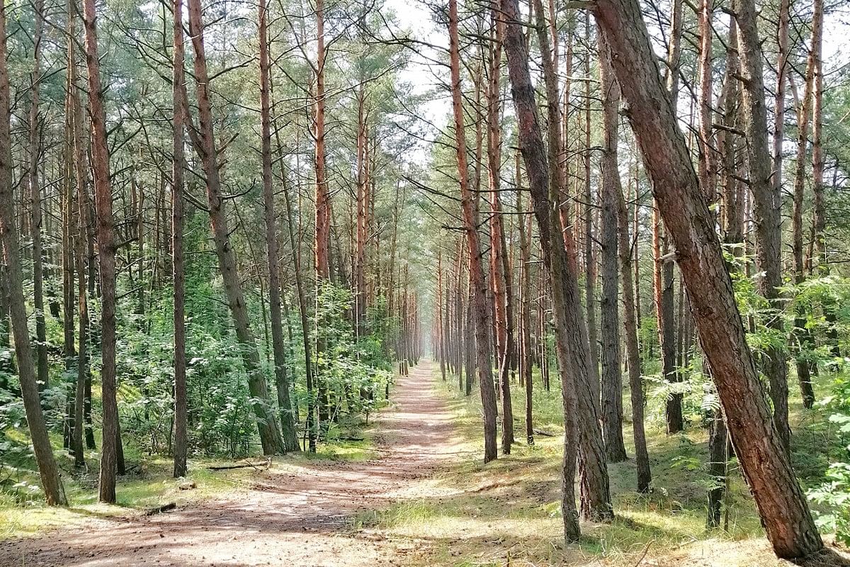 Mieszkanie 4 pokojowe na Sprzedaż