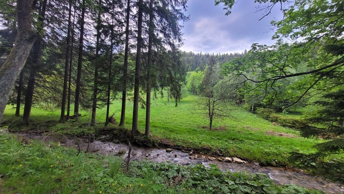 Działka  pokojowe na Sprzedaż