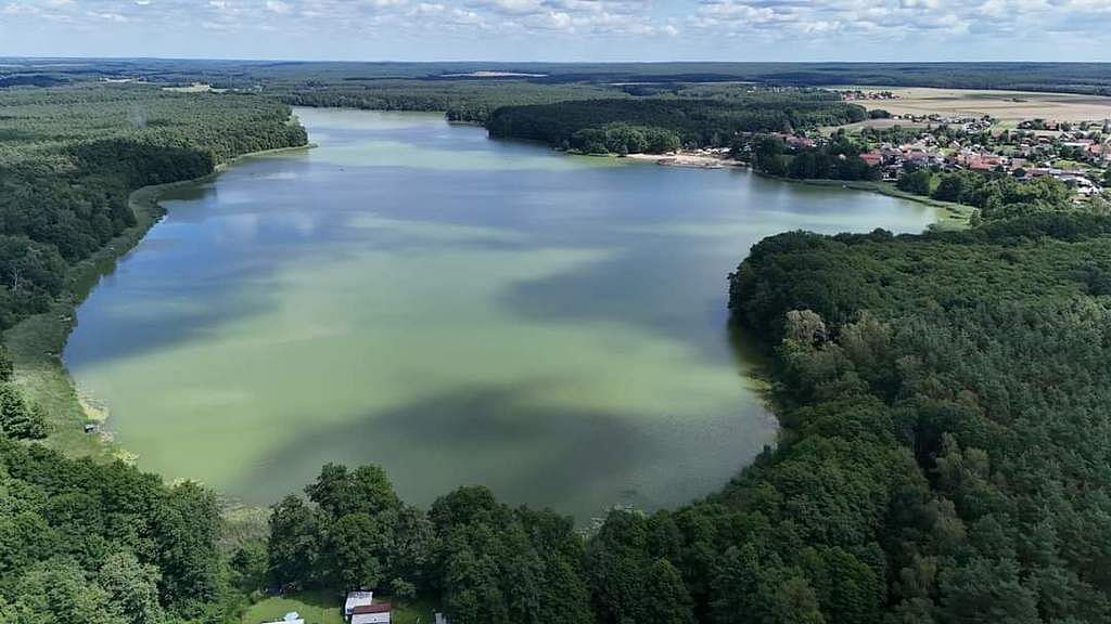 Dom 4 pokojowe na Sprzedaż