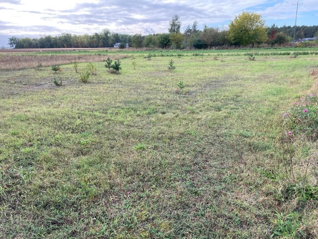 Działka  pokojowe na Sprzedaż