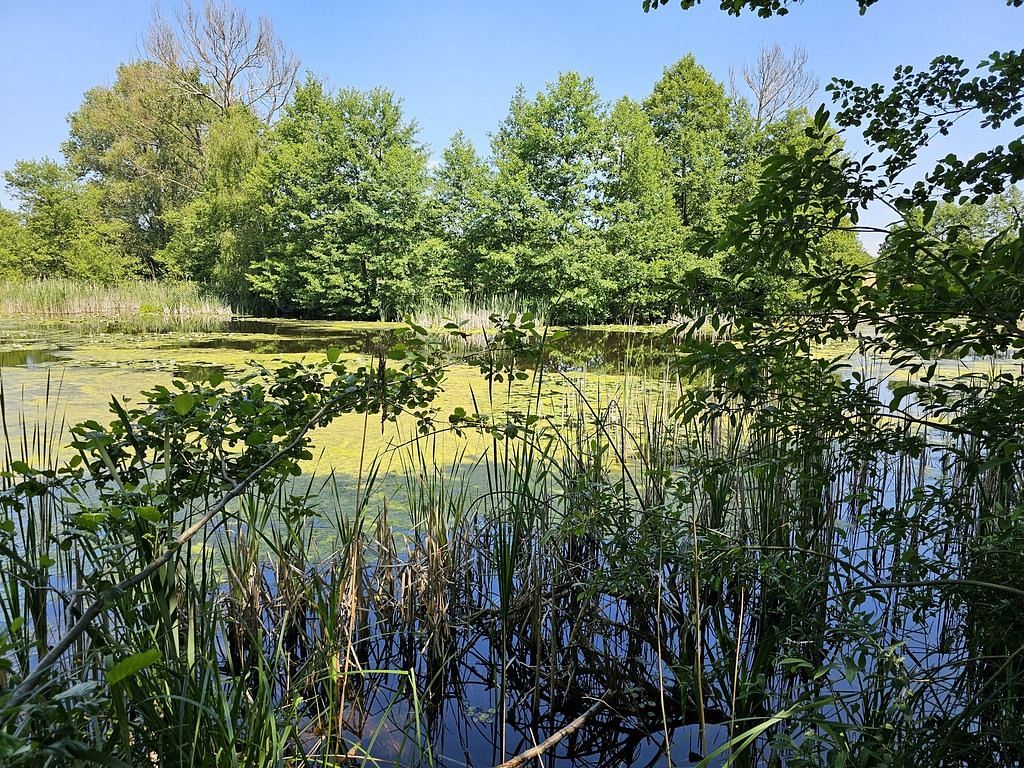 Dom 3 pokojowe na Sprzedaż