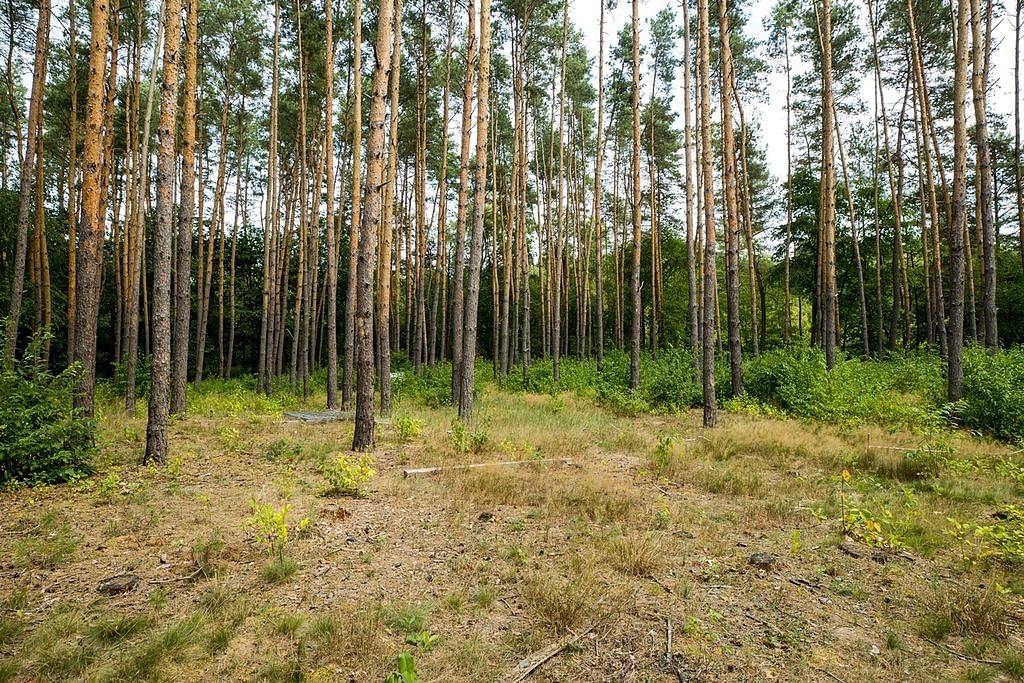 Działka  pokojowe na Sprzedaż