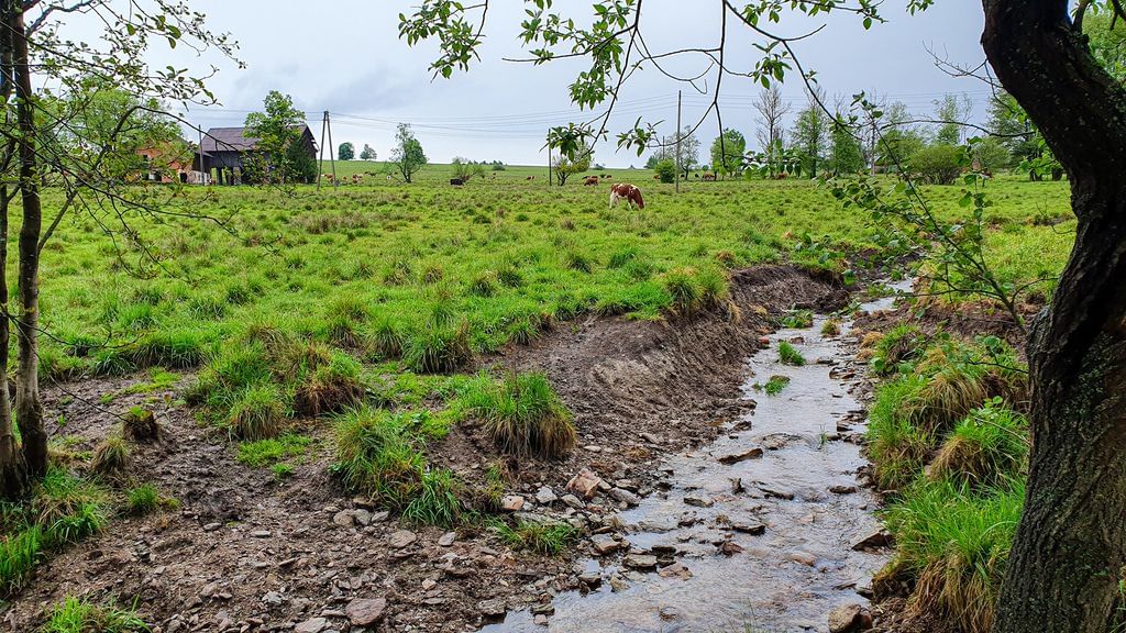 Działka  pokojowe na Sprzedaż