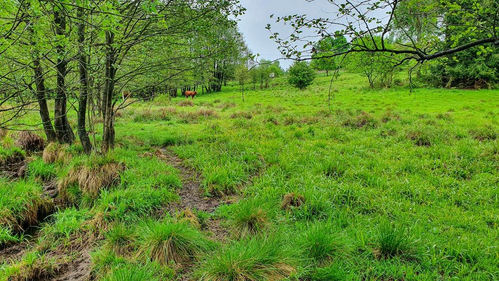 Działka  pokojowe na Sprzedaż