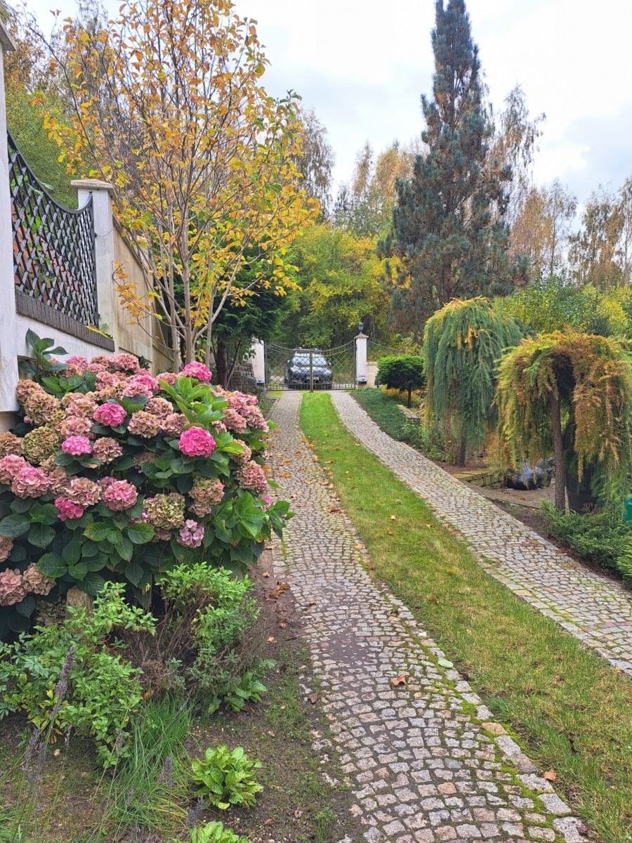 Dom 8 pokojowe na Sprzedaż