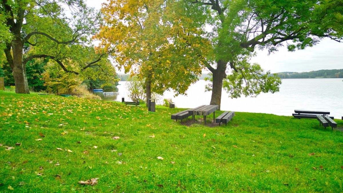 Dom 8 pokojowe na Sprzedaż