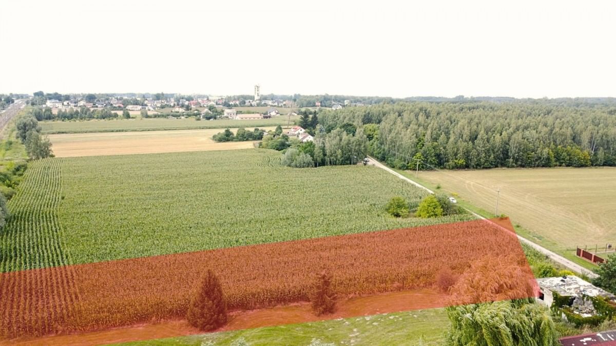 Działka  pokojowe na Sprzedaż