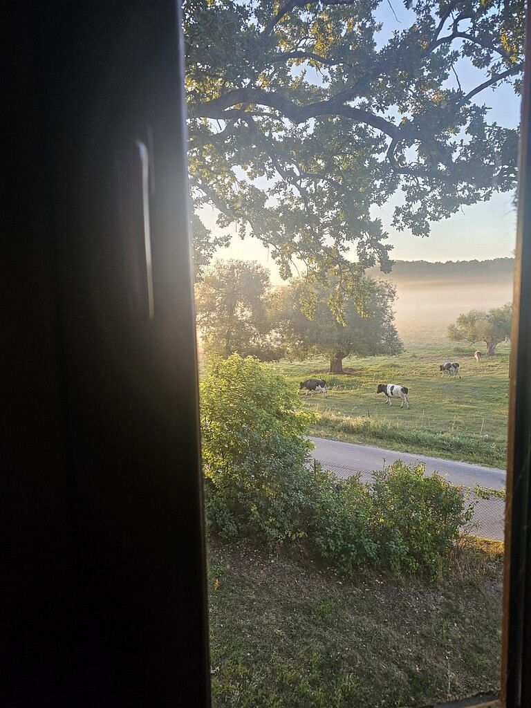 Dom 14 pokojowe na Sprzedaż