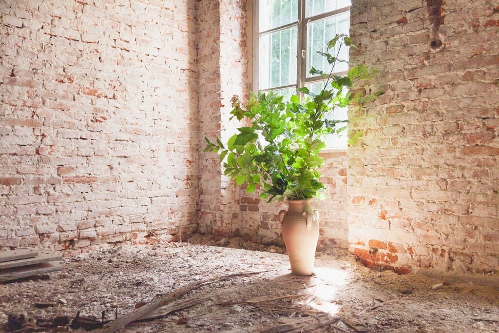 Dom 12 pokojowe na Sprzedaż