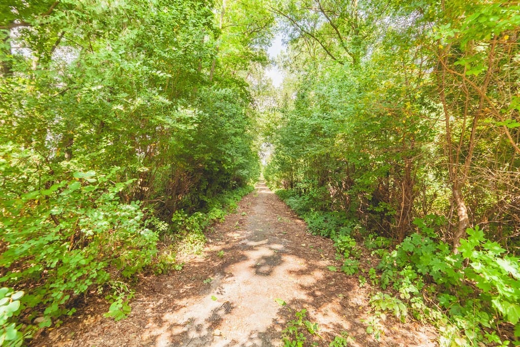 Dom 12 pokojowe na Sprzedaż