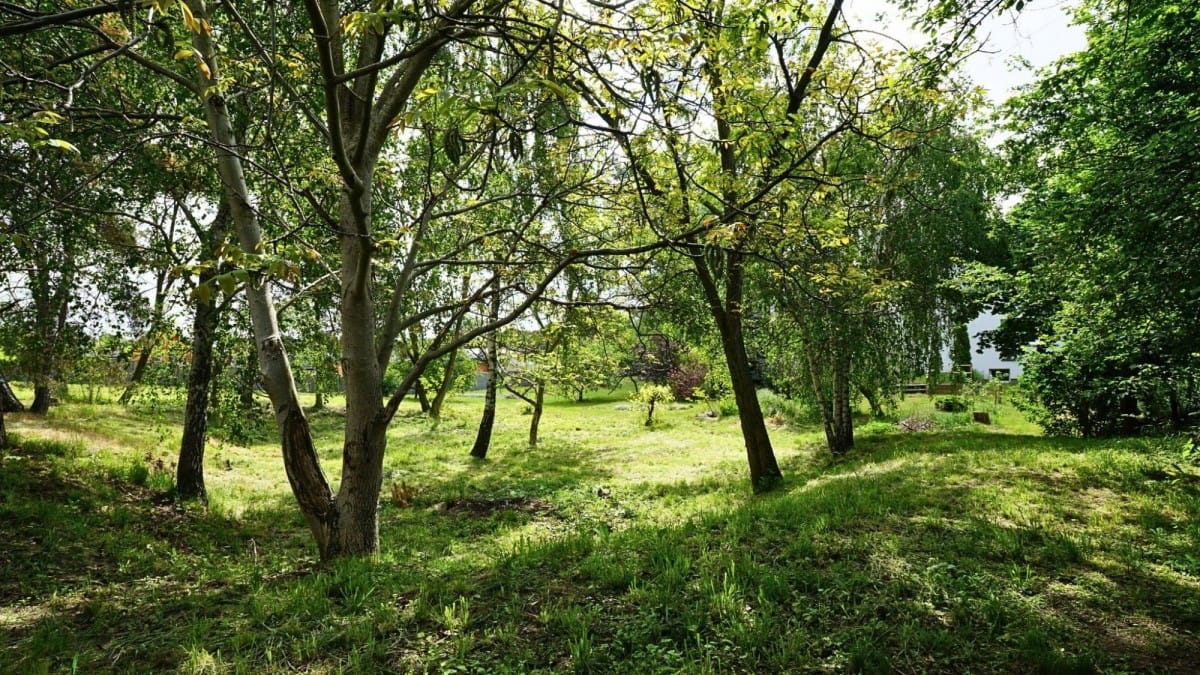 Dom 8 pokojowe na Sprzedaż