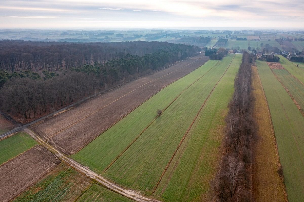 Działka  pokojowe na Sprzedaż