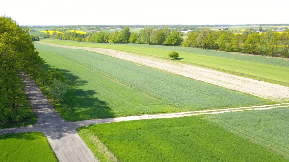 Działka  pokojowe na Sprzedaż