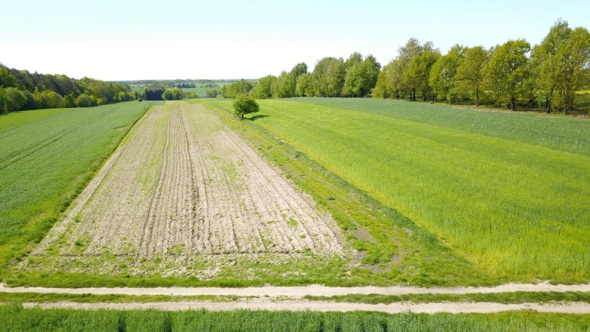 Działka  pokojowe na Sprzedaż