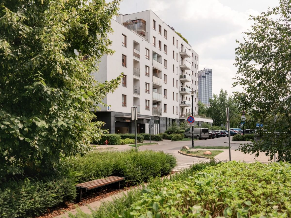 Mieszkanie 3 pokojowe na Wynajem