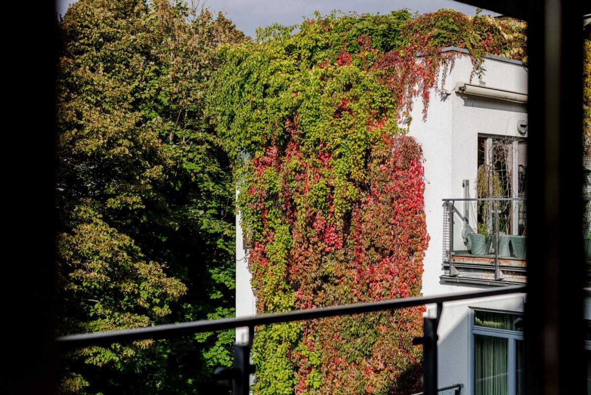 Mieszkanie 4 pokojowe na Wynajem