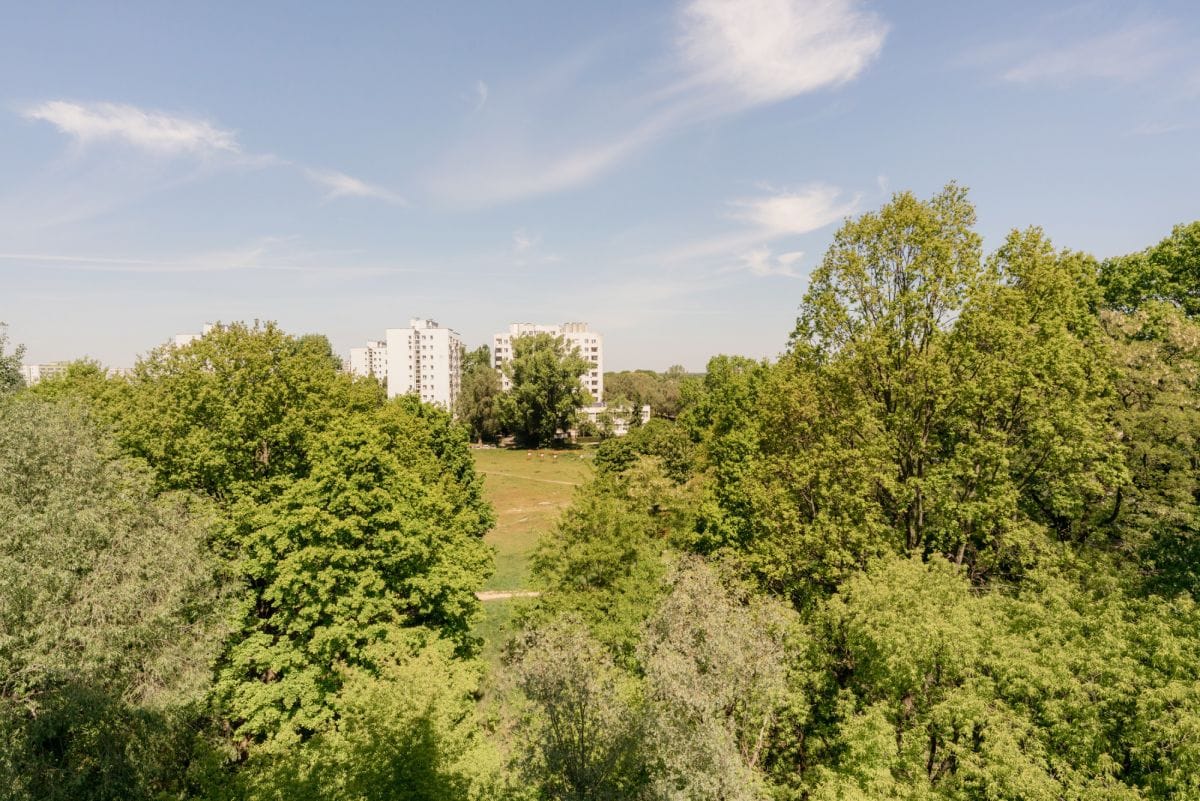 Mieszkanie 3 pokojowe na Wynajem